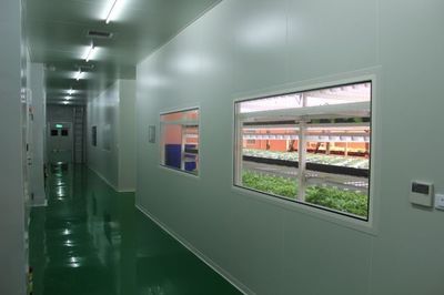 只要這樣做,在鋼筋混凝土的城市里也能再現(xiàn)“田園風(fēng)光”!