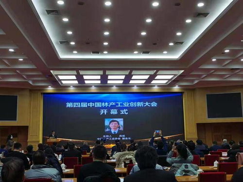 中國林產(chǎn)工業(yè)協(xié)會第五屆理事會第六次會議順利召開