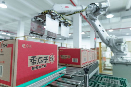 炒貨之都 合肥孕育這家瓜子企業,用數字化控供應鏈 合肥新質觀⑧.視頻
