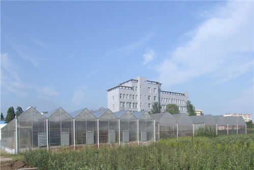 果樹研究所
