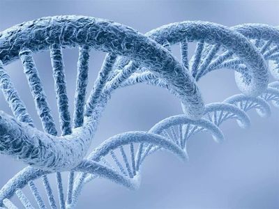頭條|安利植物研發中心聯合中國中醫科學院中藥研究所宣布, 我國率先完成菊花全基因組測序工作_科技_網