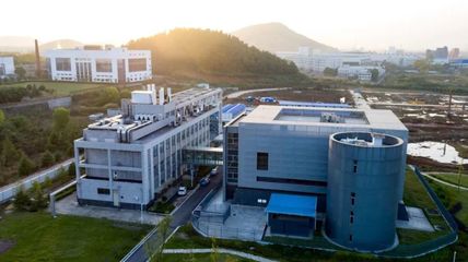 “漩渦”中的武漢病毒研究所