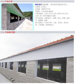 豬場卷簾布定制設計與應用效果研究